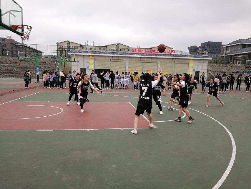 1555672727409619.jpg 5.jpg