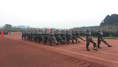 1568706943112859.png image.png