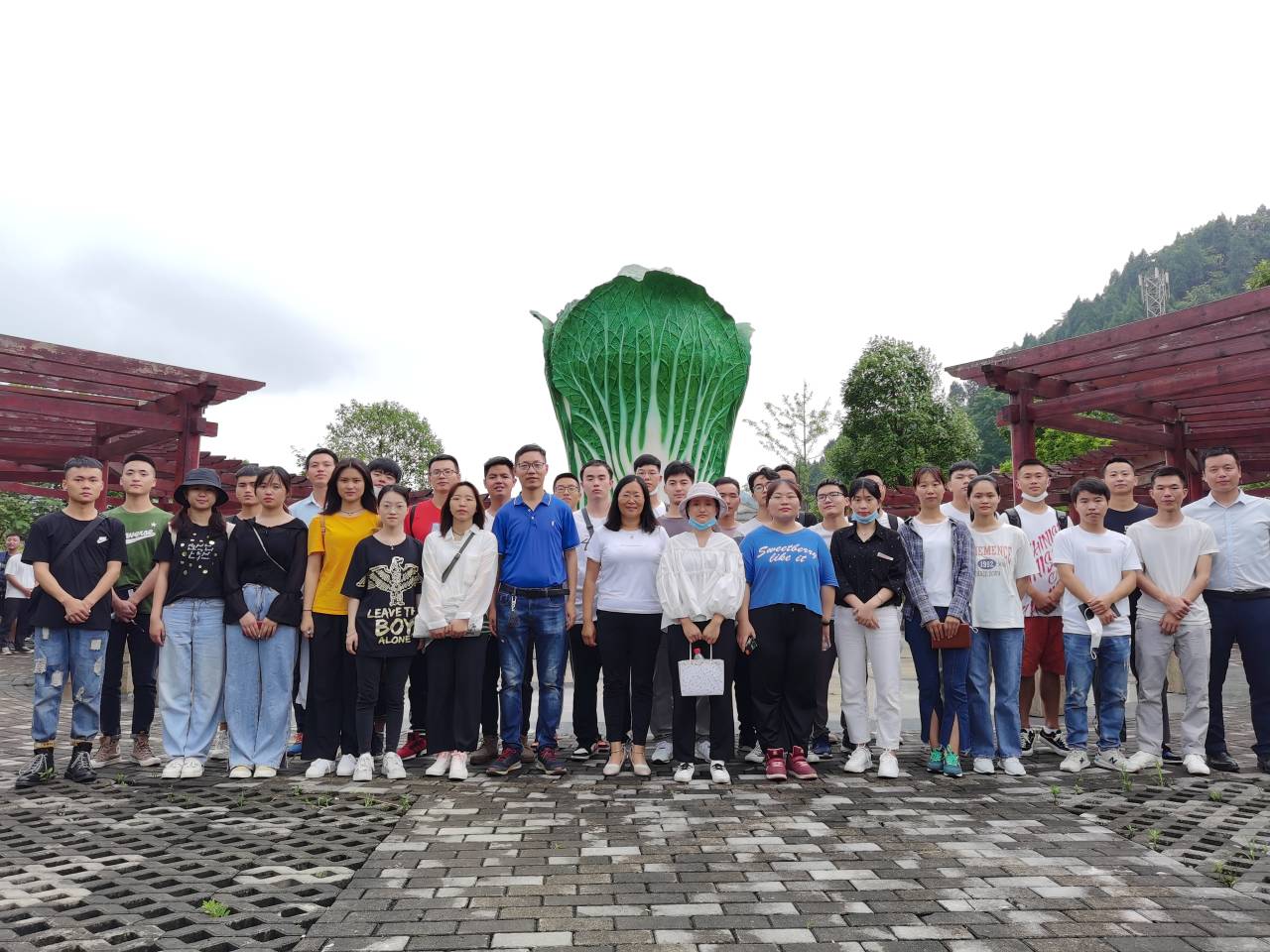 1593430332259008.jpg 1593430332259008.jpg