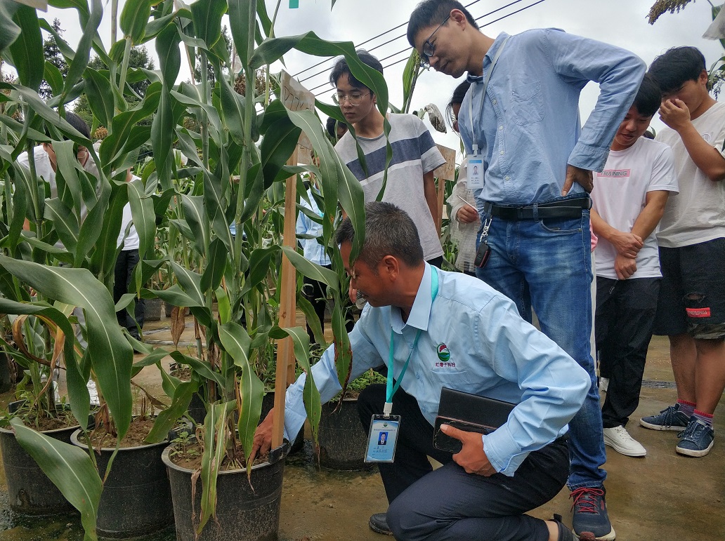 1594736095398818.jpg 1594736095398818.jpg