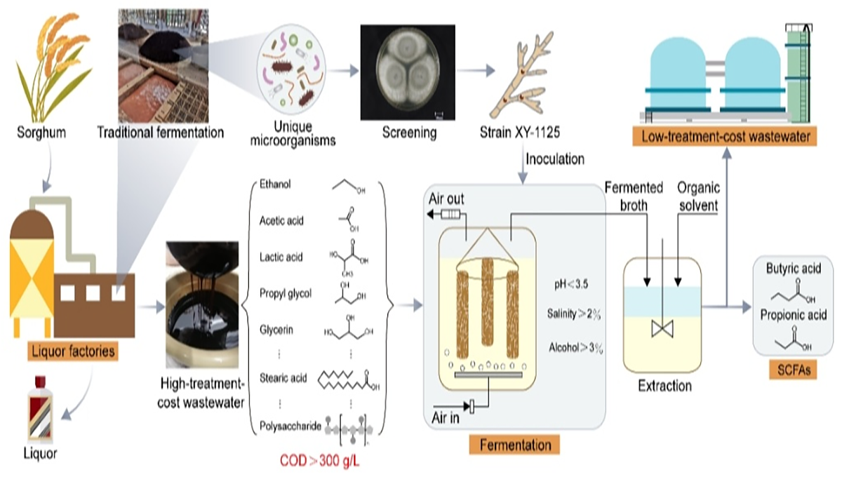 1618808290130863.png 1618808290130863.png