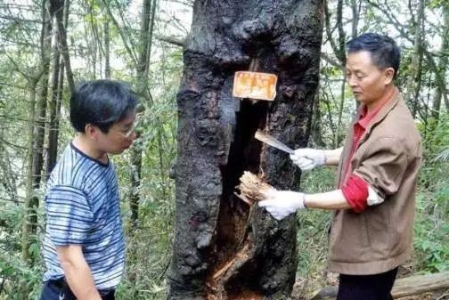 1619574190525504.jpg 1619574190525504.jpg