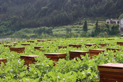 1664024896258319.png 图片4.png