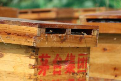 1664024915236244.png 图片5.png