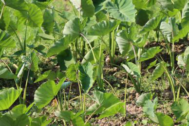 1664024931140546.png 图片6.png