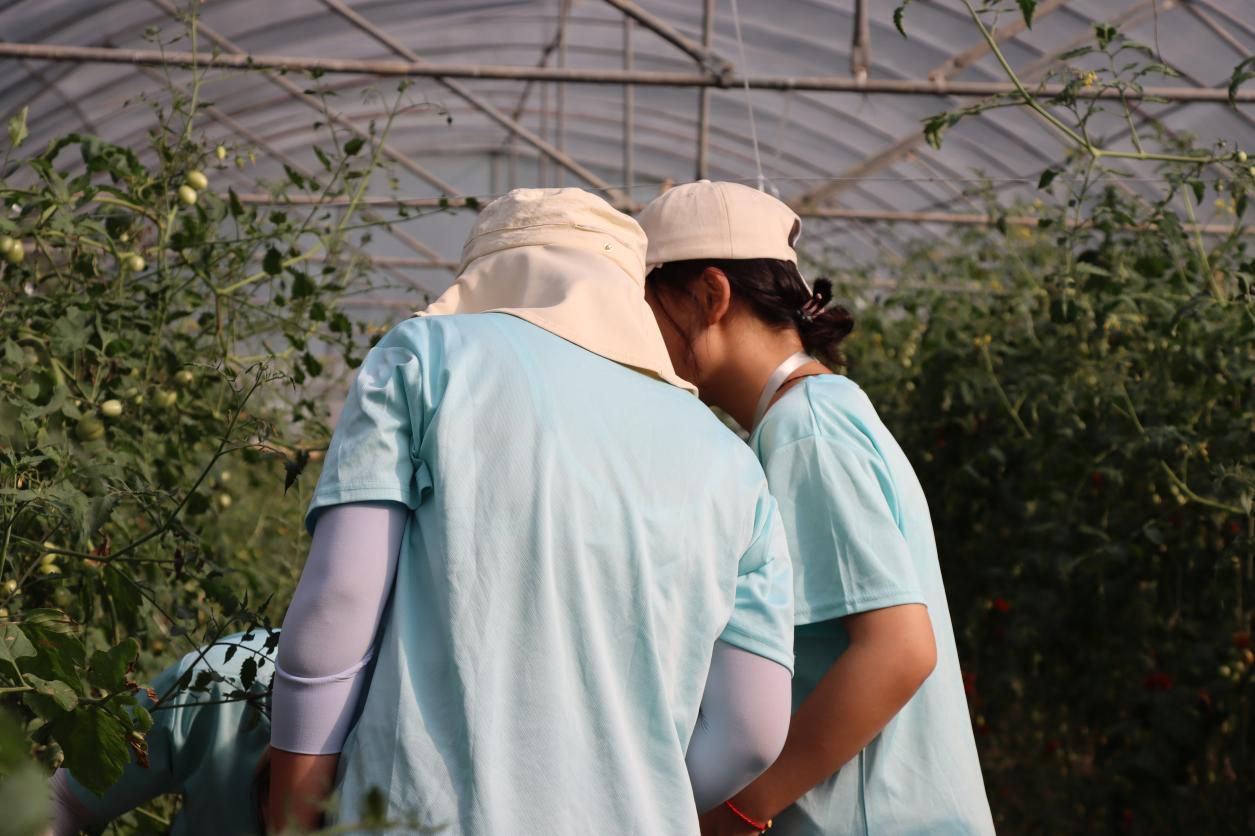 1664028081125015.png 222.png