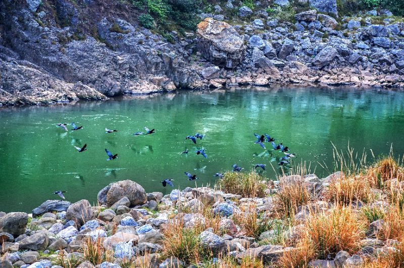 1733283415798721.png 图片